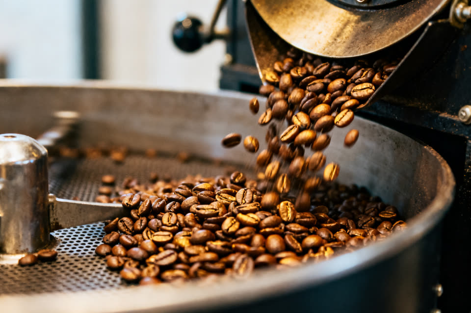 Freshly roasted coffee beans tumbling out of a drum roaster cooling tray